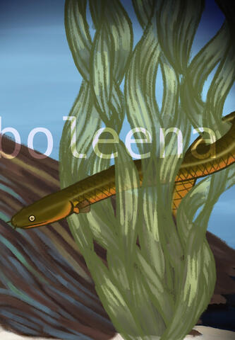 A rope of a fish